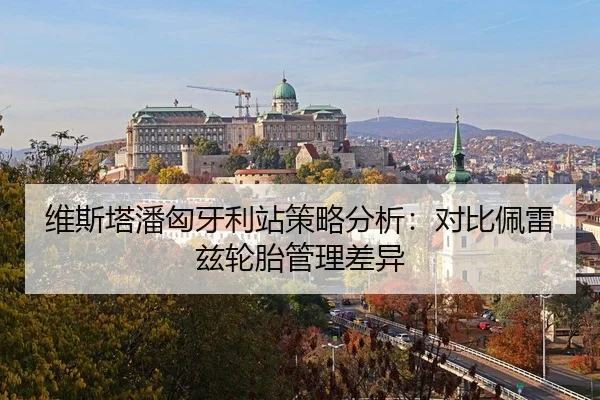 维斯塔潘匈牙利站策略分析：对比佩雷兹轮胎管理差异