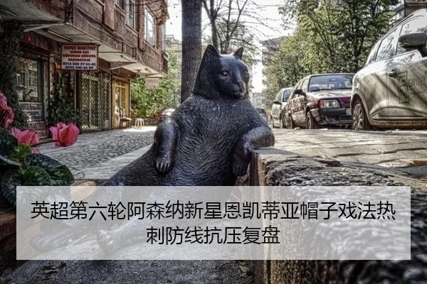 ying-chao-di-liu-lun-a-sen-na-xin-xing-en-kai-di-ya-mao-zi-xi-fa-re-ci-fang-xian-kang-ya-fu-pan-3-700.jpg